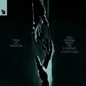 You Gonna Want Me (I Know)