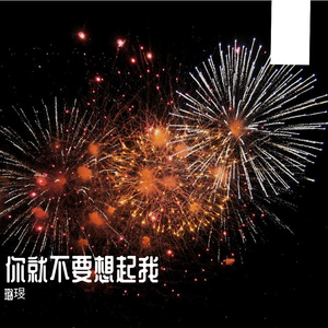 你就不要想起我