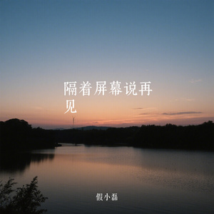 隔着屏幕说再见