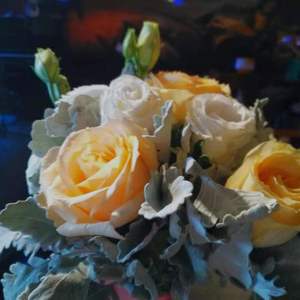 被吃掉的心，和你（demo）