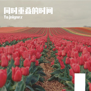 同时重叠的时间