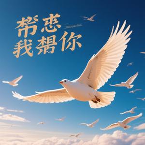 让我们一起去飞翔