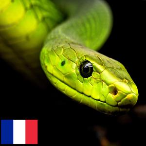 Son d'un Serpent Exotique