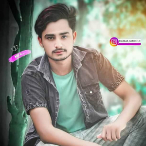 मीणा जी मीणा जी Lovekush Dungri