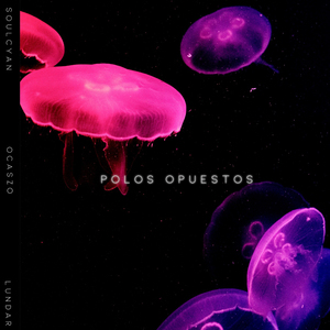 Polos Opuestos