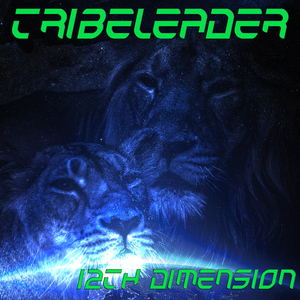 12TH DIMENSION (Instrumental Tribe Master)