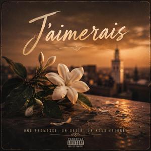 Nhebb (J'aimerais)