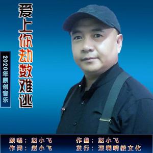 爱上你劫数难逃 (伴奏)