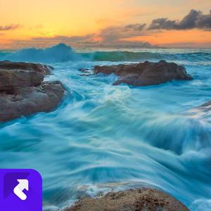 旅途的光景 (现场)