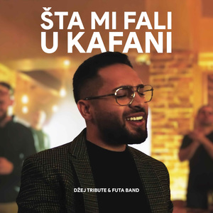 Sta mi fali u kafani