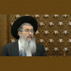 תניא ליקוטי אמרים פרקים ד, ה