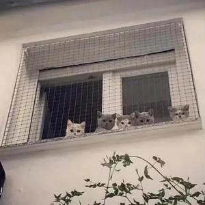 记住我的好（片段翻唱）