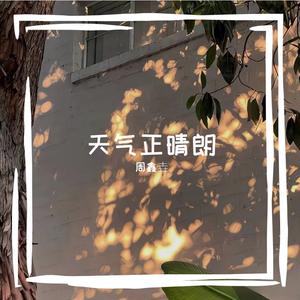 冷夜无坐标
