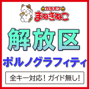 解放区（カラオケ）[Originally Performed By ポルノグラフィティ]