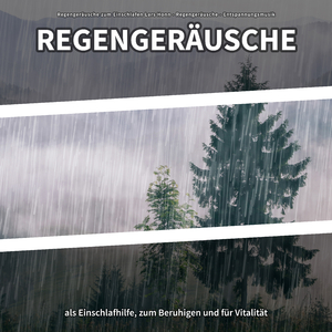 Regengeräusche