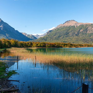 Take The Bright Road