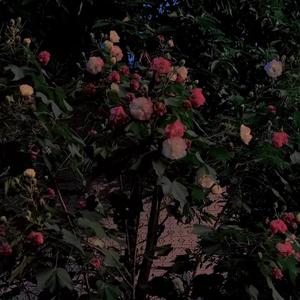 三火（PROD BY MEGA)