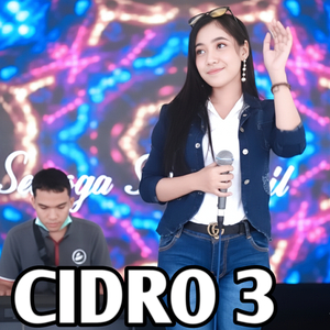 CiDRO 3