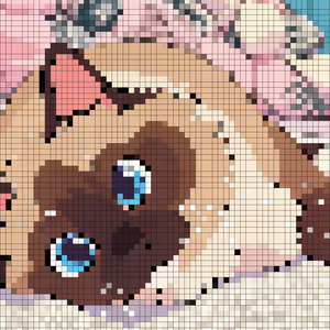 小猫说要开心ʕ ᵔᴥᵔ ʔ