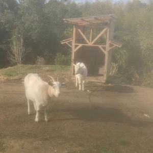 最後は皆死ぬから笑う