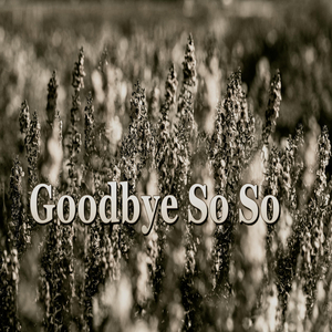 Goodbye so So