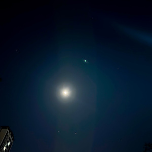 窮途之花（inst.）