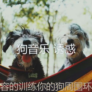 柔和的可爱的狗时刻