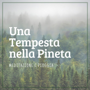 Lo Scorrere Sereno della Natura