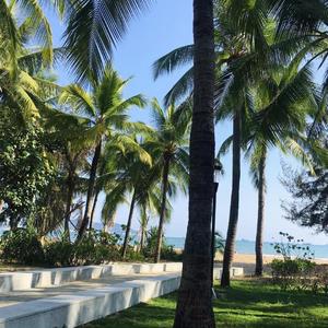 粉色苏打(女声版)