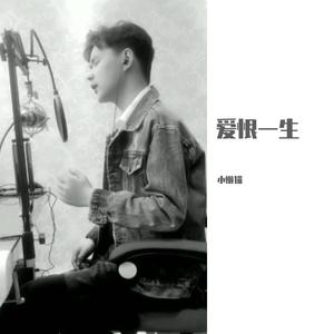 爱恨一生