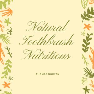 Natural Toothbrush Nutritious