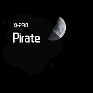 Pirate（Martin Garrix ID)