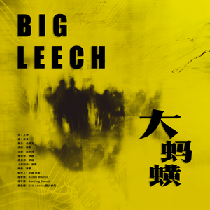大蚂蟥