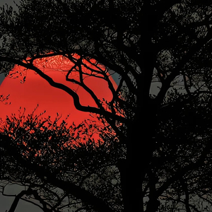 难忘也难说 的沉默