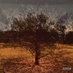 UNFIXABLE (feat. VANDUR$KI)