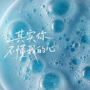 其实你不懂我的心（cover 童安格）