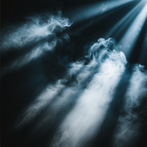 ™的光芒太耀眼