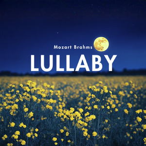 疲れを癒す白い砂浜 (川)