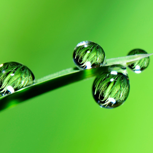 Rainflows