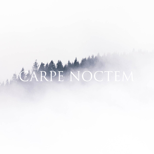 Carpe Noctem