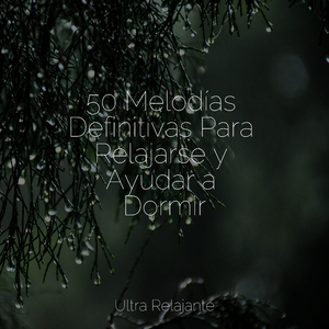 Crepúsculo Desde La Ventana