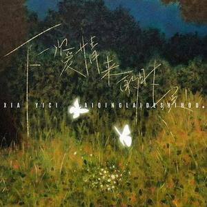 下一次爱情来的时候