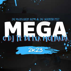 Mega O Dj Te Deixa Molhada