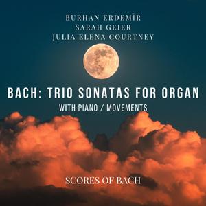 Organ Sonata, BWV 528, No. 4 in E minor - II. Andante