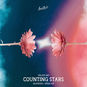 Counting Stars (Slowed & Reverb)