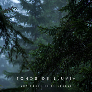 Sonidos De Lluvia Atmosférica