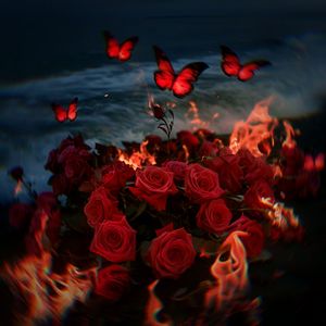 计划里Cover version