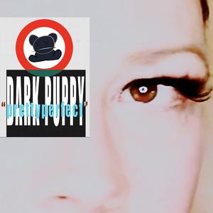 Prettyperfect (feat. Alain Verlinde & Sarah Vantorre) (Serge Verlinde Remix)