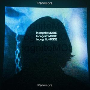 vve don't have any friends (feat. Lukos)