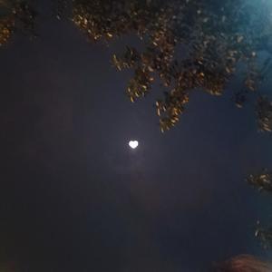 风月归你我归人海